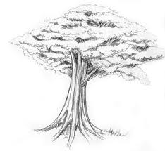 menggambar pohon